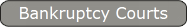 Bankruptcy Courts