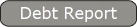 Debt Report